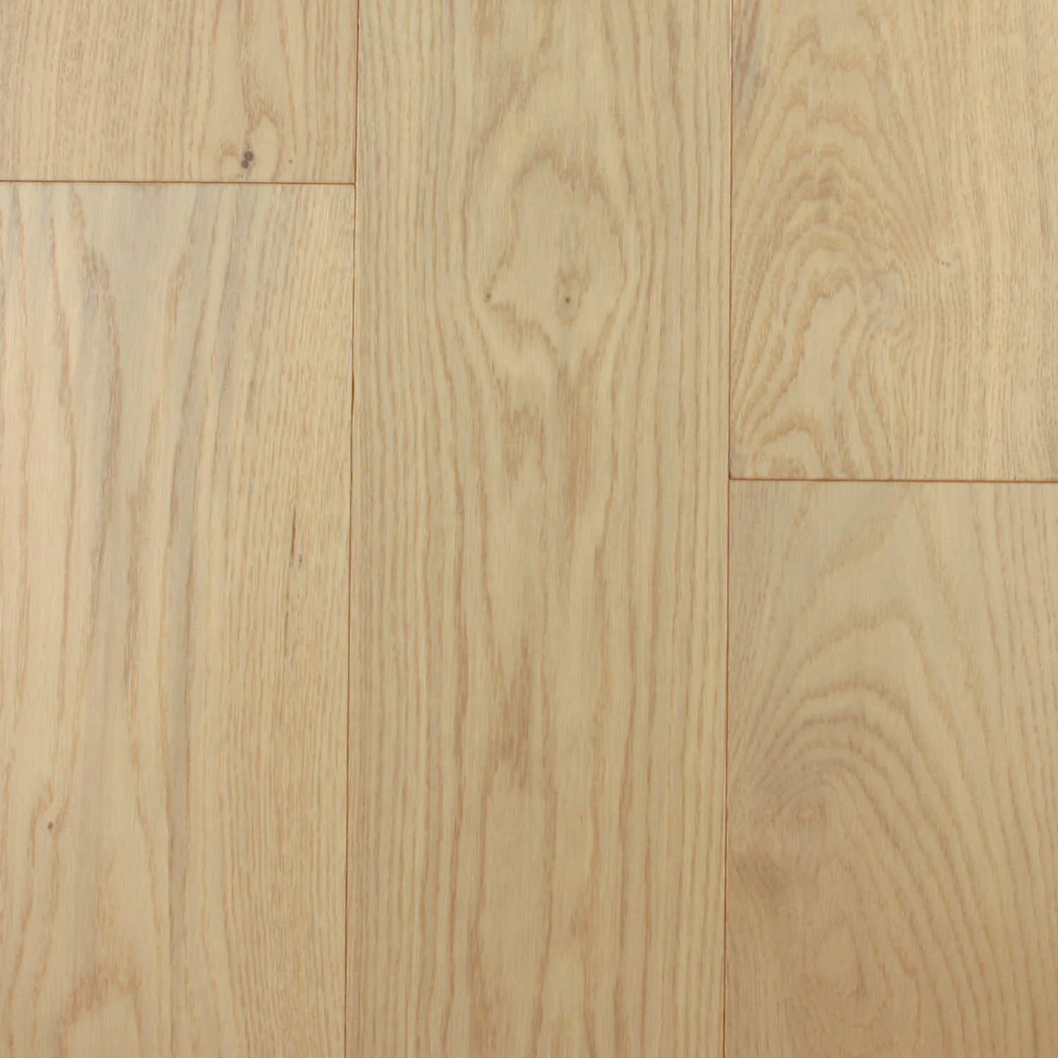 Segal Light Natural